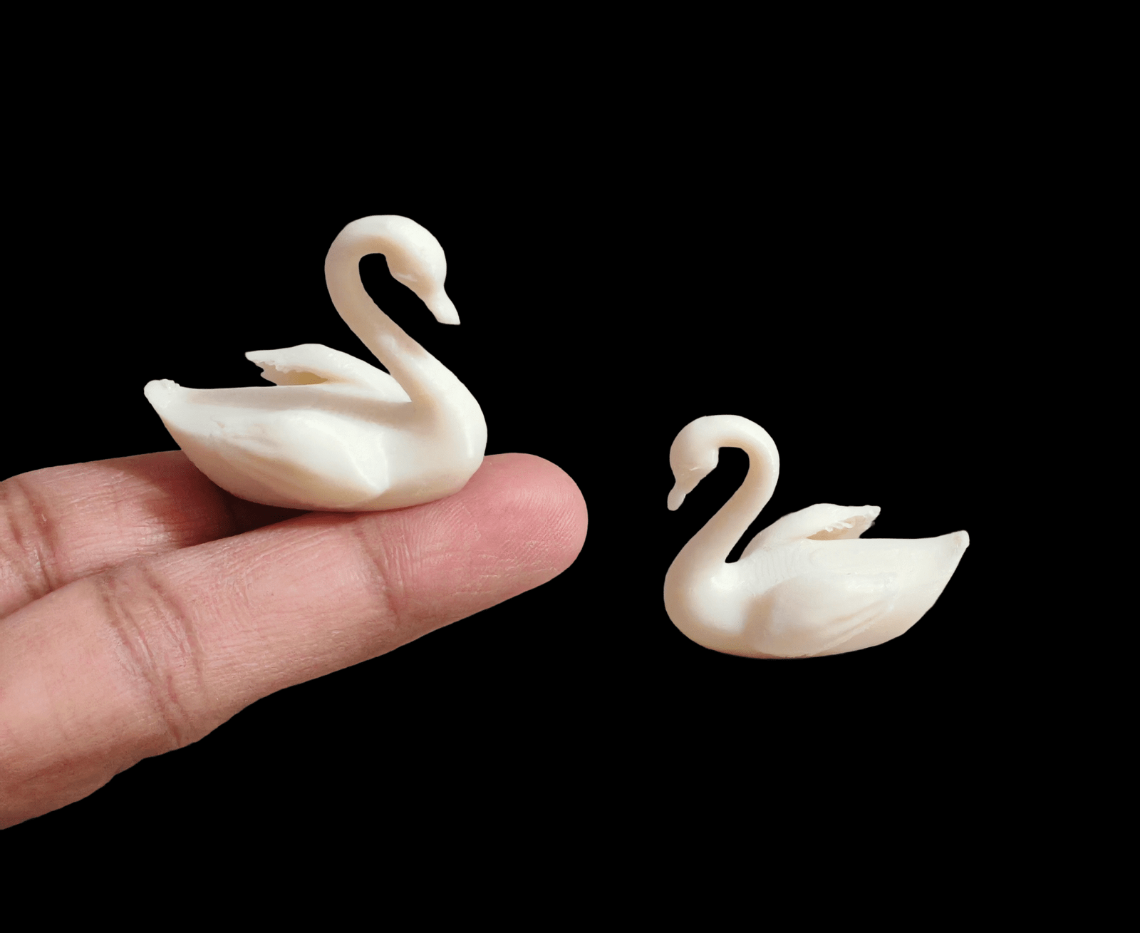 IMG_20251220_125244_edit_5741824466298